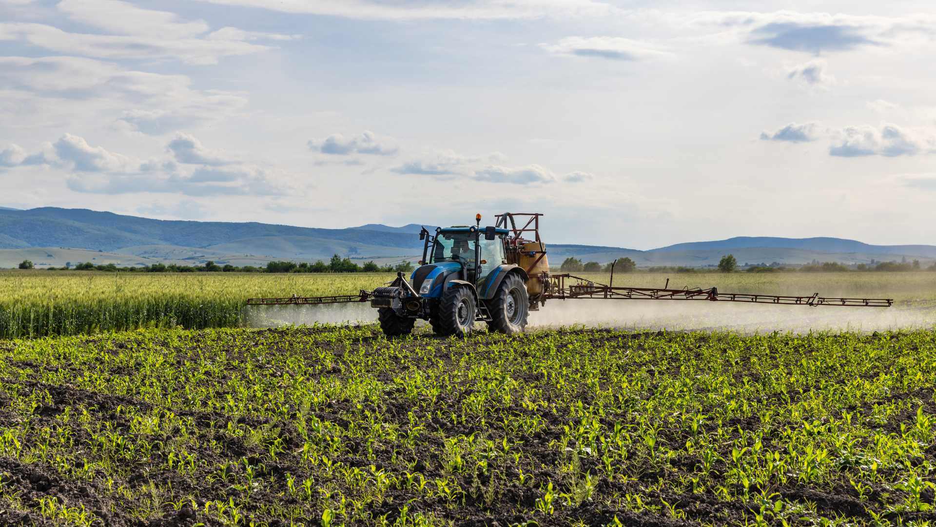 Een tractor bemest een veld